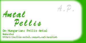 antal pellis business card